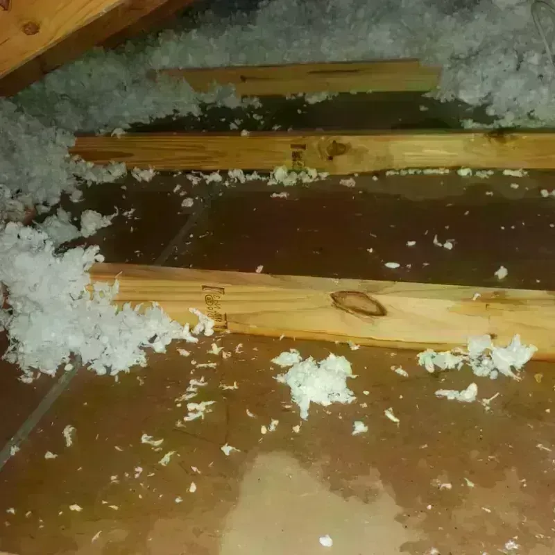 Attic Water Damage in Urbana, OH