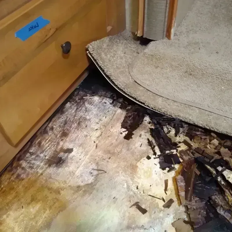 Wood Floor Water Damage in Urbana, OH